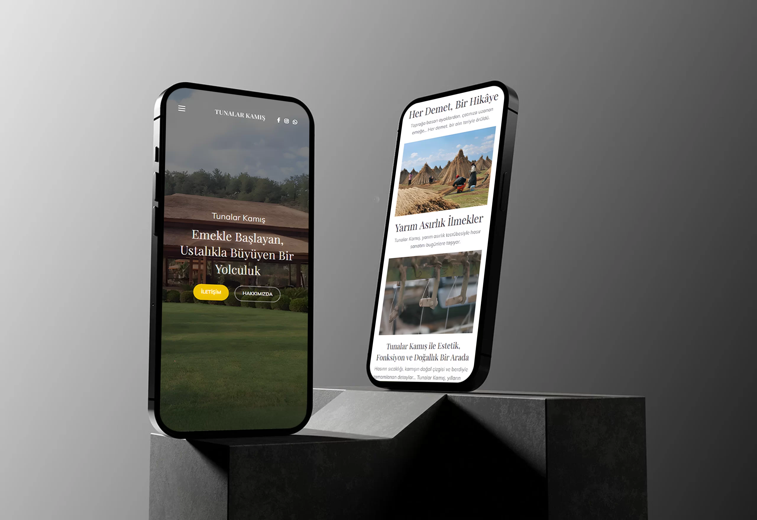 Ensistem olarak, Tunalar Kamış’ın dijital dünyadaki varlığını güçlendirmek amacıyla kurumsal web sitesi tasarım ve geliştirme hizmetleri sunduk. Modern ve kullanıcı dostu arayüzler ile ziyaretçilerin siteyi rahatça keşfetmesini ve ürünlere kolayca erişmesini sağladık.